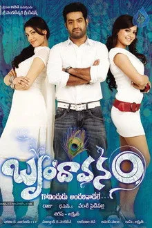 Brindavanam (2010) Movie Poster