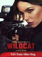 Wildcat (2025) HDRip Telugu Dubbed Movie Watch Online Free (2025) Watch Online